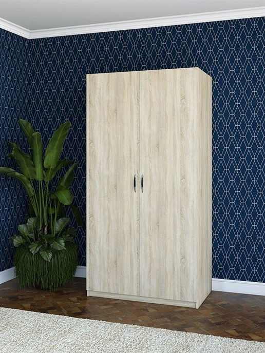 Шкаф с распашными дверями Balance (1000*600) 2D (дуб сонома)